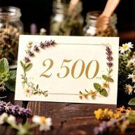 ���������� �� 2 500 ���.