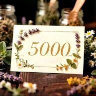 ���������� �� 5 000 ���.
